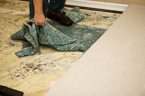 Carpet Tear-up