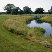 Golf - Natural Buffer
