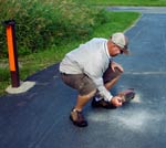 Identify hazards