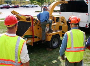 Tree Chipper