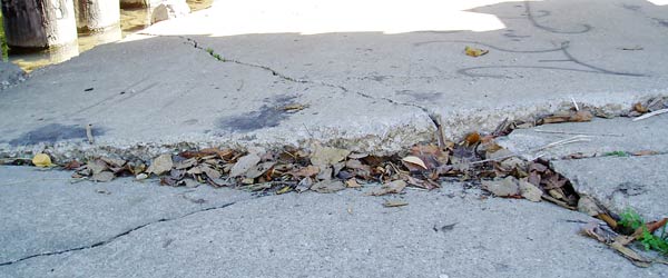 New Slip, Trip and Fall Program Encourages hazard hunters