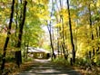 “Fall” into Comprehensive Training
