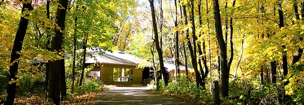 “Fall” into Comprehensive Training