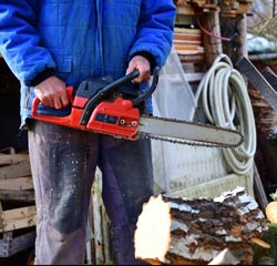Person holding chainsaw, standing near a cut log.
